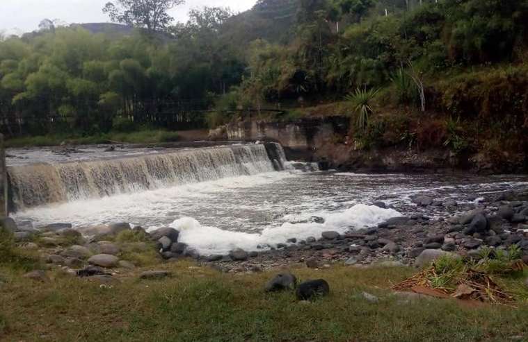 Se investiga el origen de sustancia espumosa sobre aguas del río Quindío